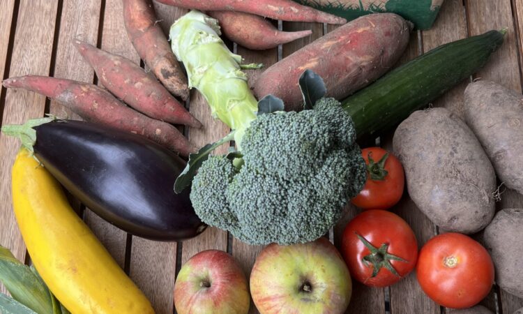 Solawi-Wochenlieferung Gemüse und Obst im November