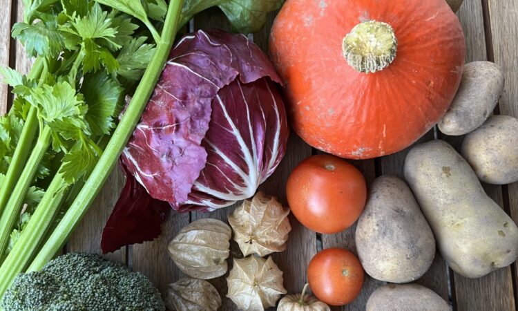 Solawi-Wochenlieferung Gemüse und Obst im November