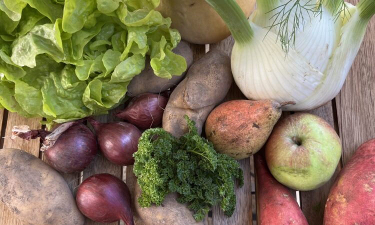 Solawi-Wochenlieferung Gemüse und Obst im Oktober
