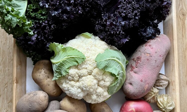 Solawi-Wochenlieferung Gemüse und Obst im November