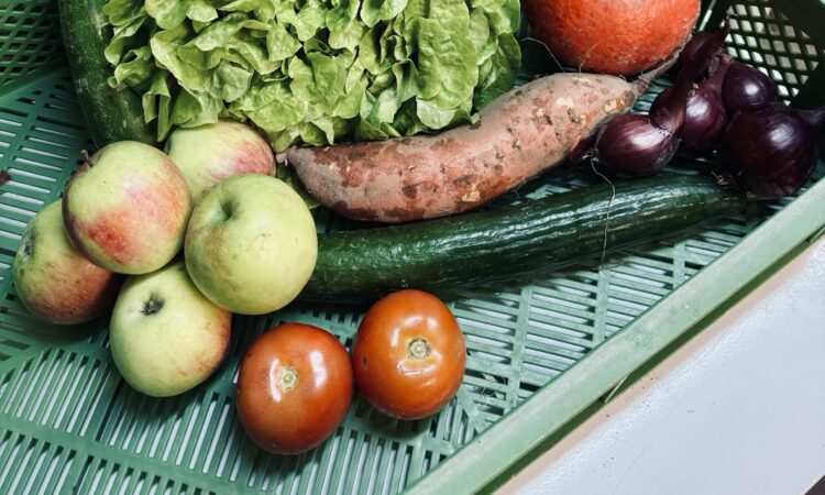 Solawi-Wochenlieferung Gemüse und Obst im Oktober